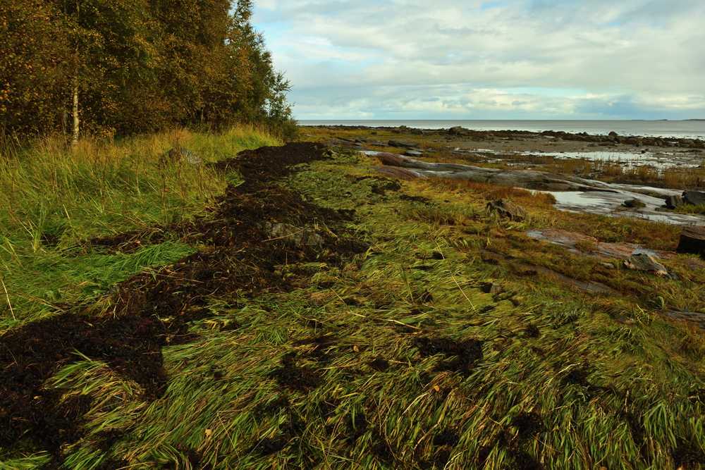 Фотография Александра Лазутина Фотография Александра Лазутина