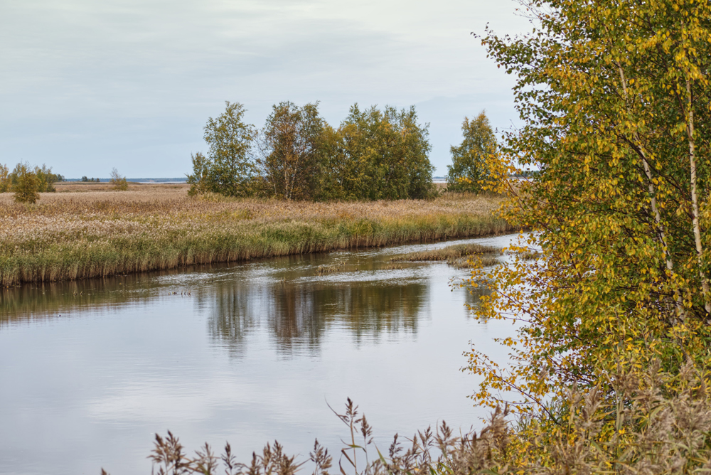Фотография Александра Лазутина Фотография Александра Лазутина