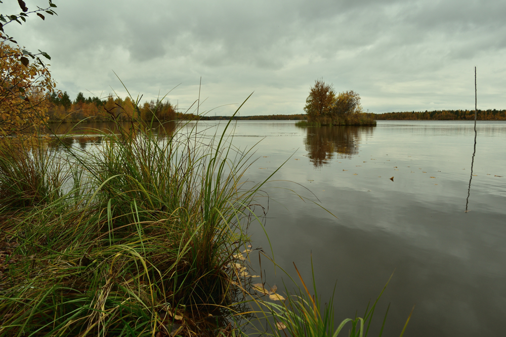 Фотография Александра Лазутина Фотография Александра Лазутина