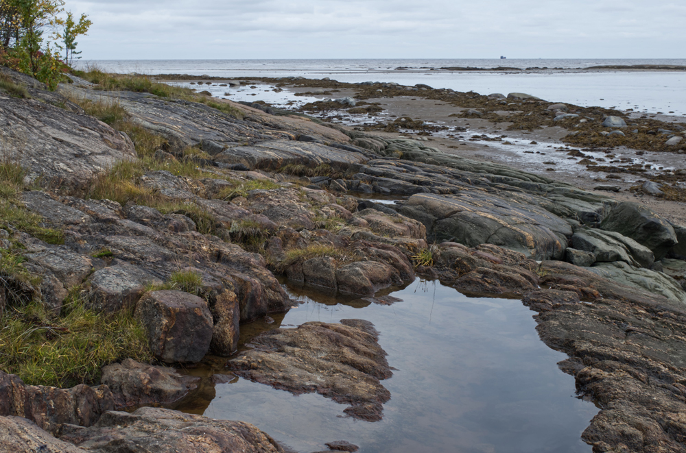 Фотография Александра Лазутина Фотография Александра Лазутина