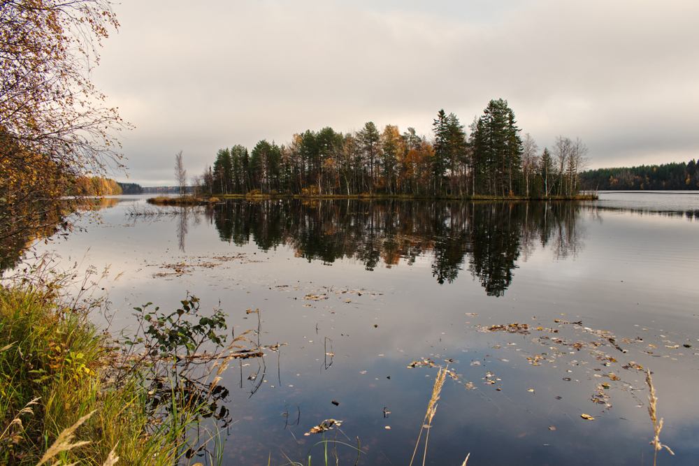 Фотография Александра Лазутина Фотография Александра Лазутина