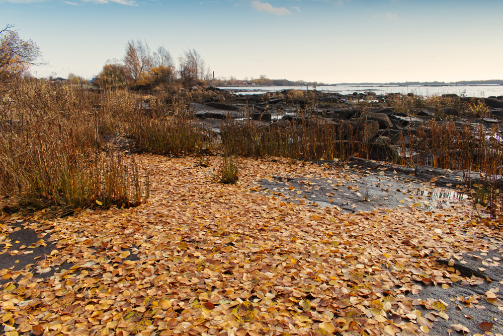 Фотография Александра Лазутина Фотография Александра Лазутина