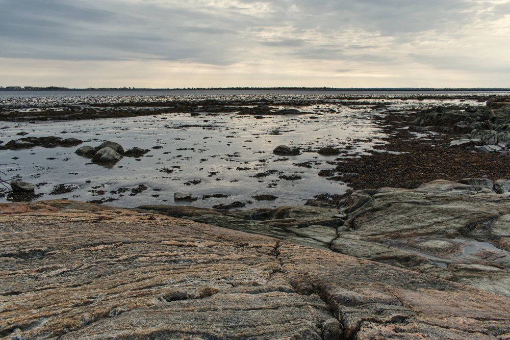 Фотография Александра Лазутина Фотография Александра Лазутина