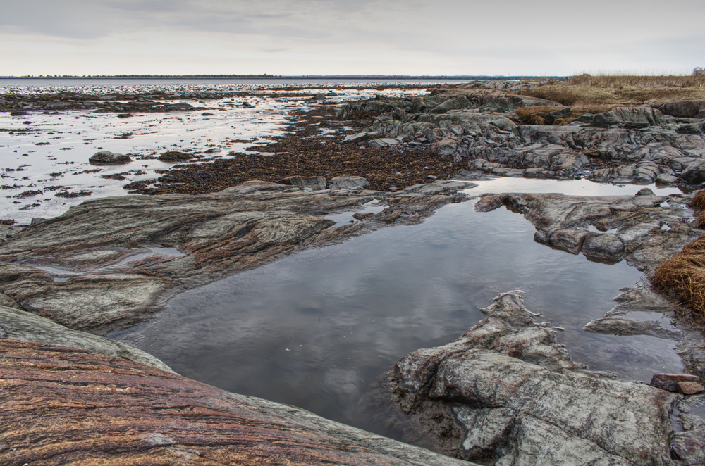 Фотография Александра Лазутина Фотография Александра Лазутина