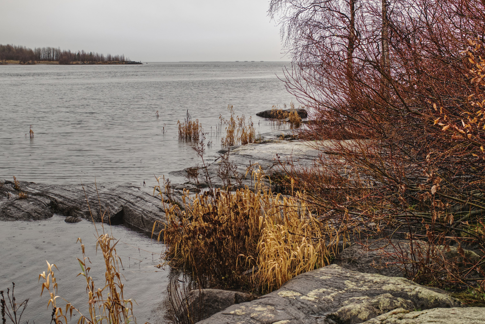 Фотография Александра Лазутина Фотография Александра Лазутина