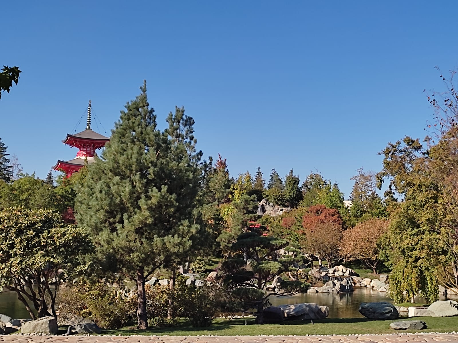 Фотографии Александра Ралота Фотографии Александра Ралота