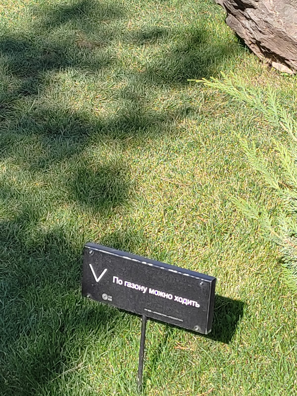 Фотографии Александра Ралота Фотографии Александра Ралота