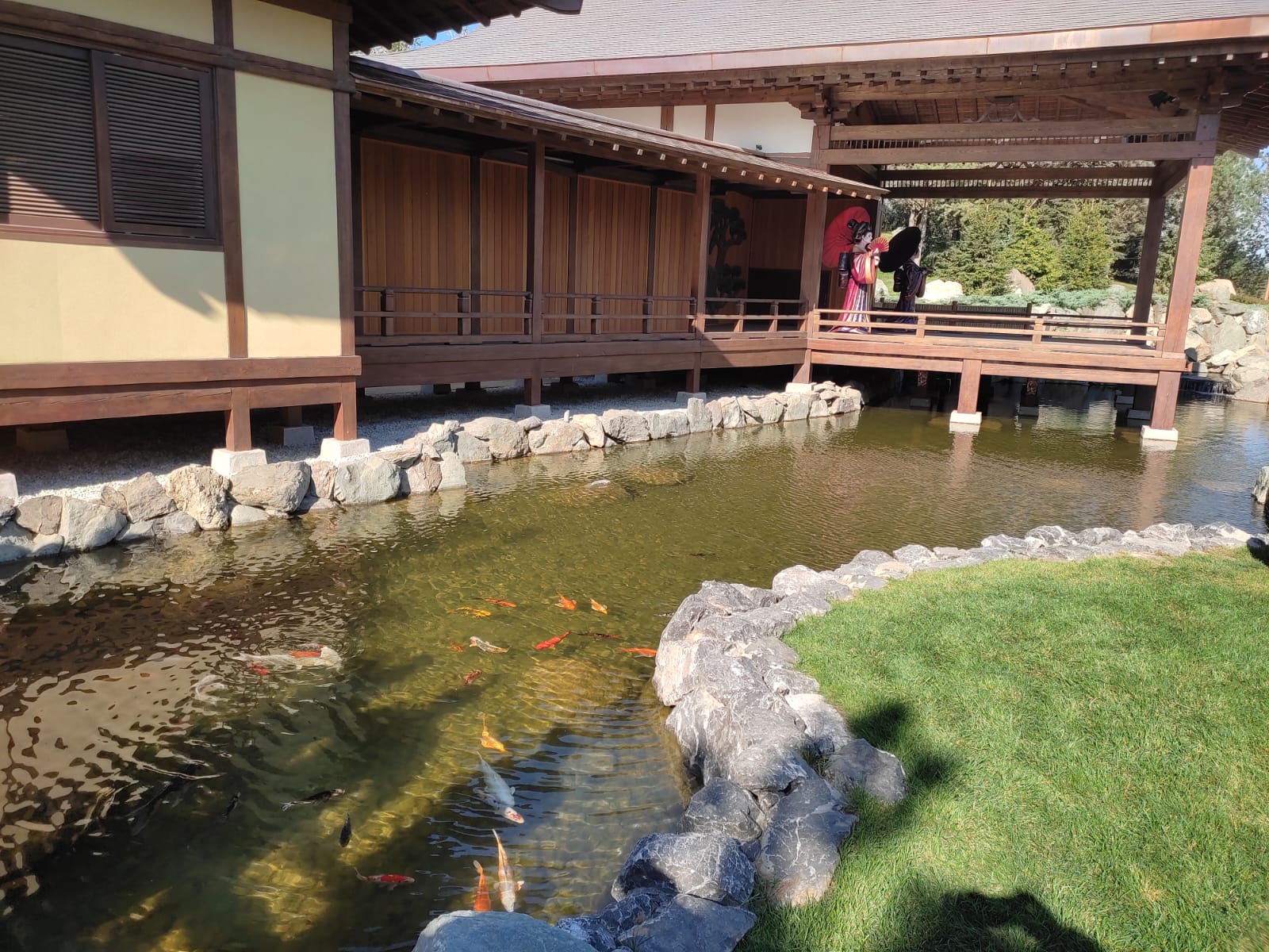 Фотографии Александра Ралота Фотографии Александра Ралота