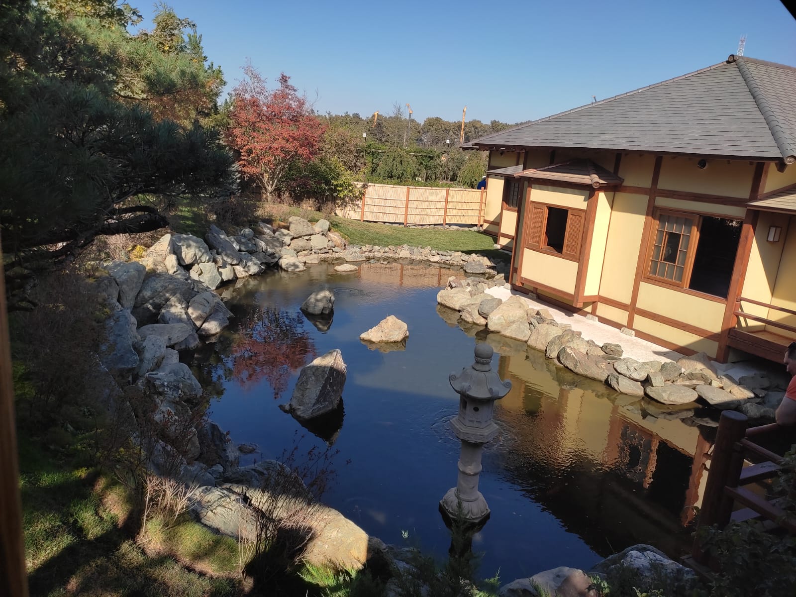 Фотографии Александра Ралота Фотографии Александра Ралота