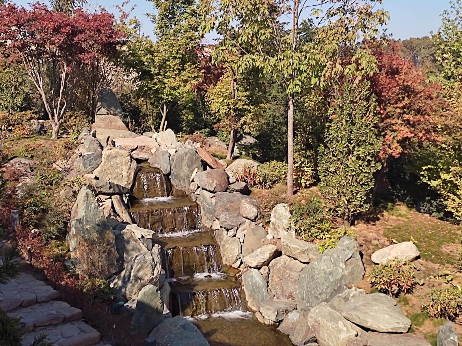 Фотографии Александра Ралота Фотографии Александра Ралота