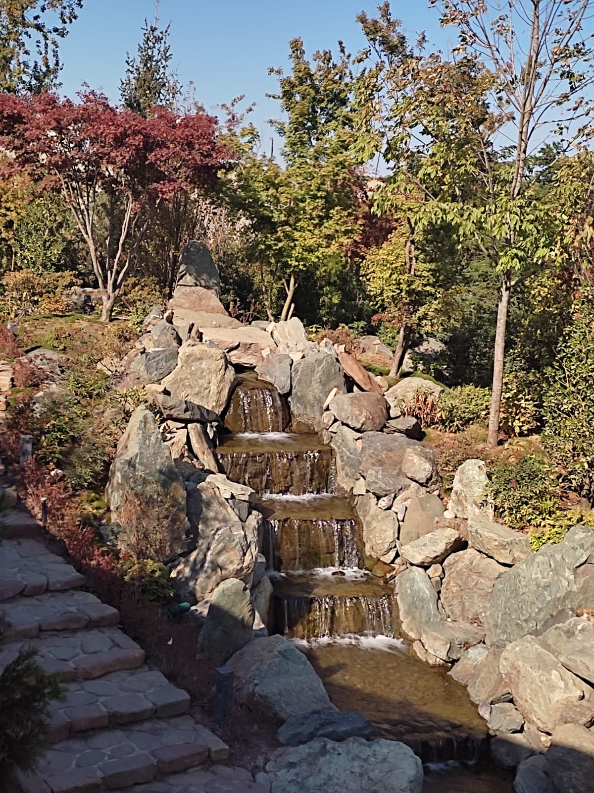 Фотографии Александра Ралота Фотографии Александра Ралота