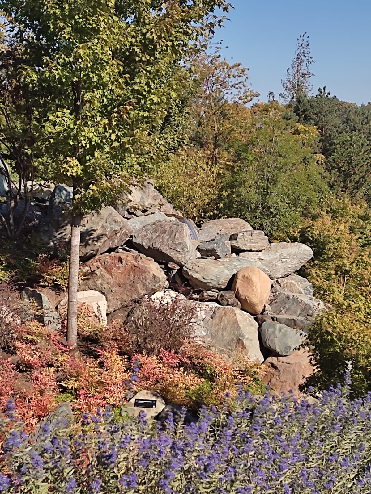 Фотографии Александра Ралота Фотографии Александра Ралота