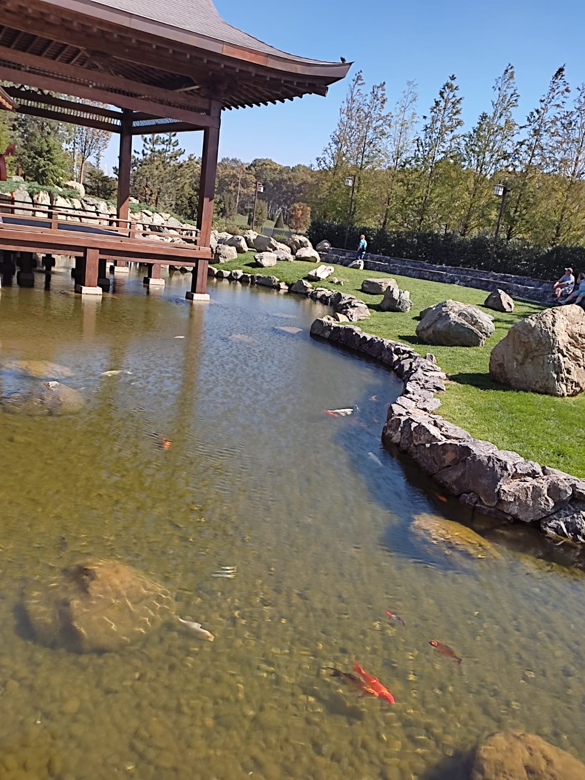 Фотографии Александра Ралота Фотографии Александра Ралота