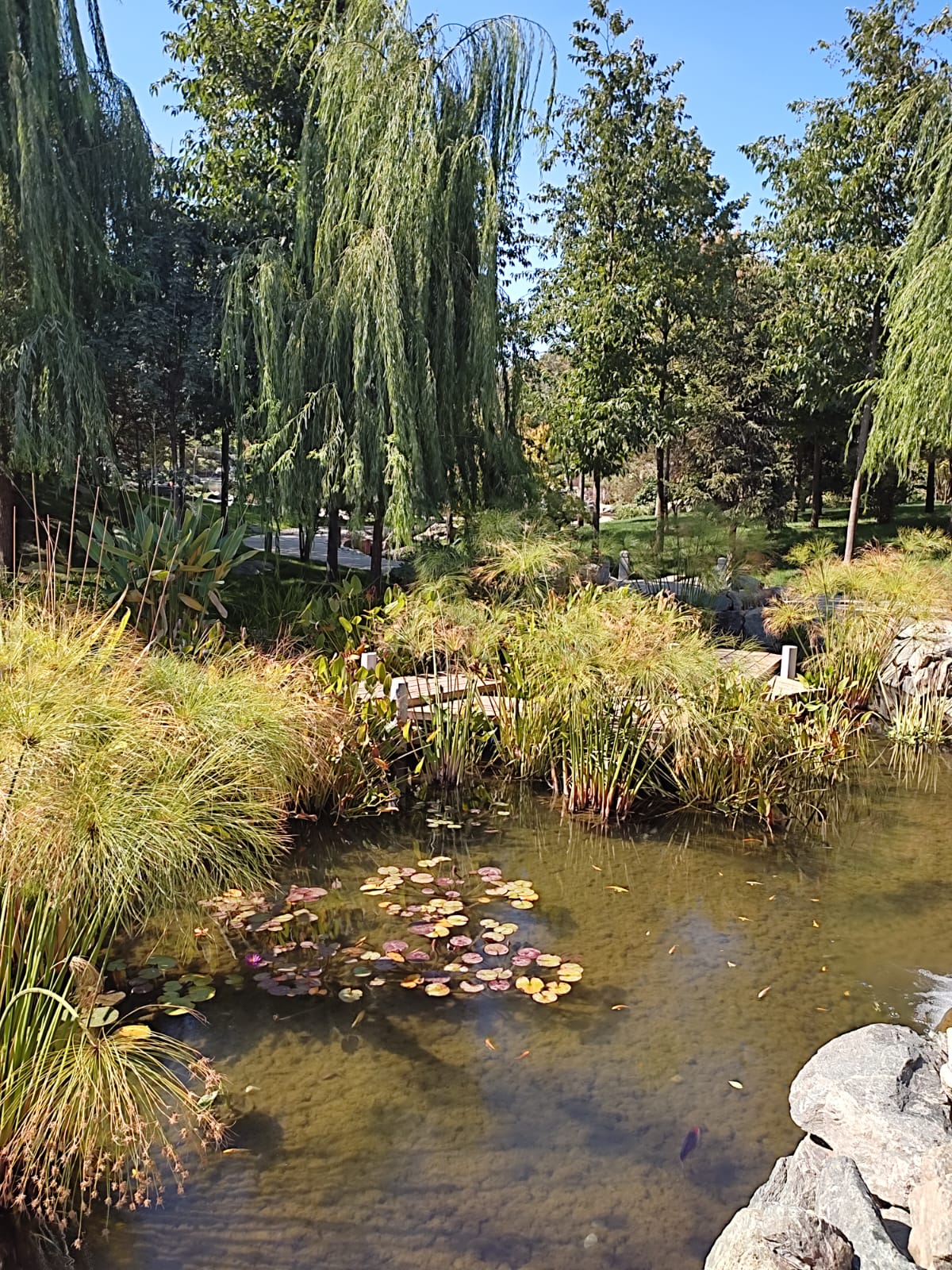 Фотографии Александра Ралота Фотографии Александра Ралота