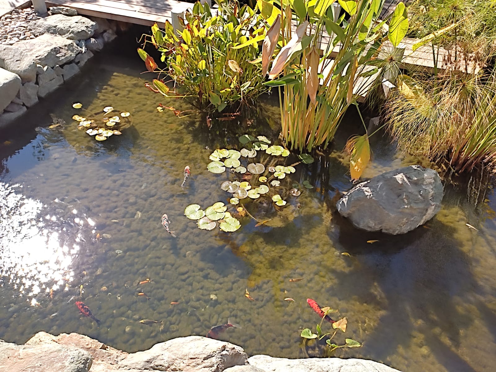 Фотографии Александра Ралота Фотографии Александра Ралота