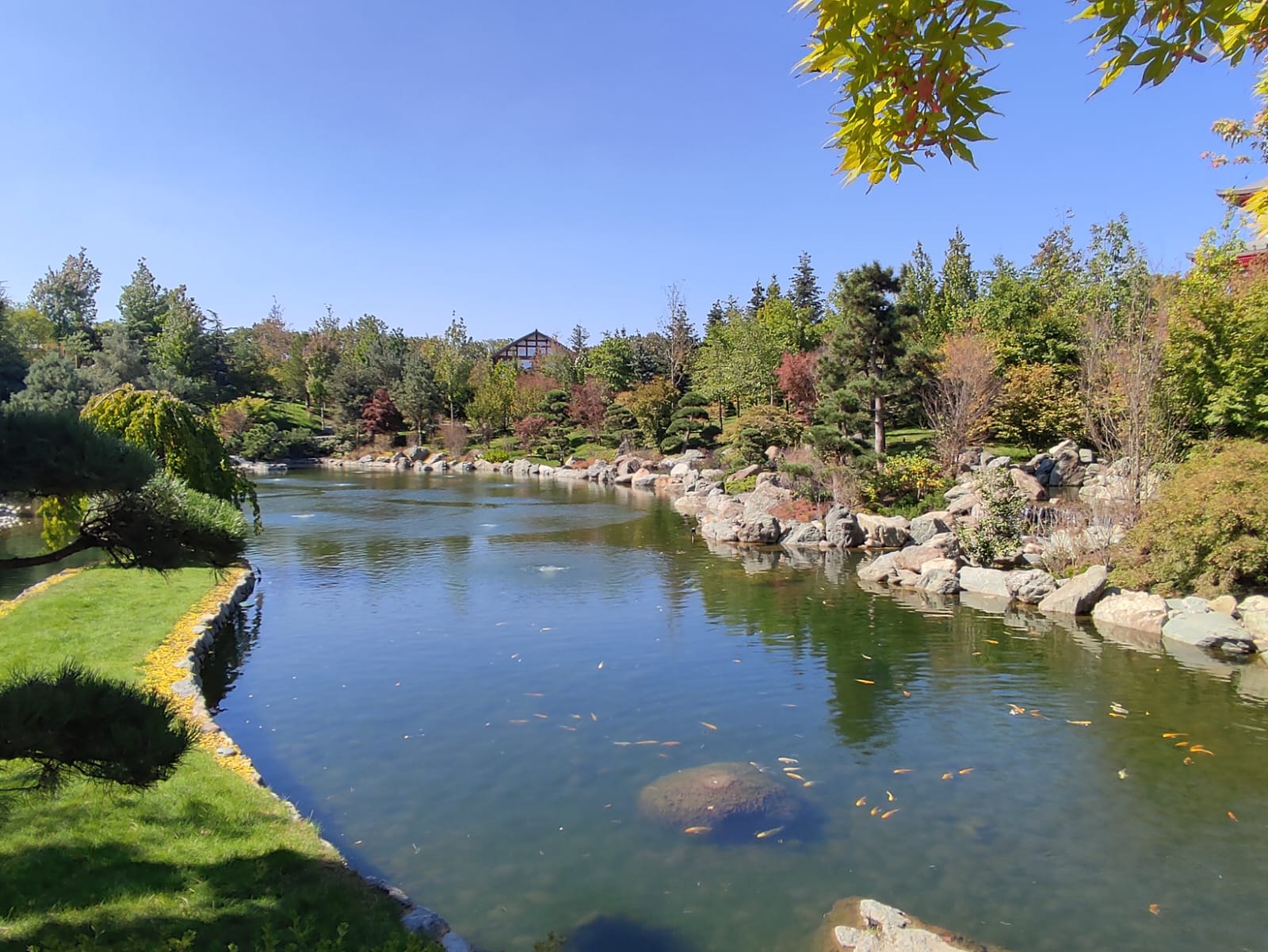 Фотографии Александра Ралота Фотографии Александра Ралота