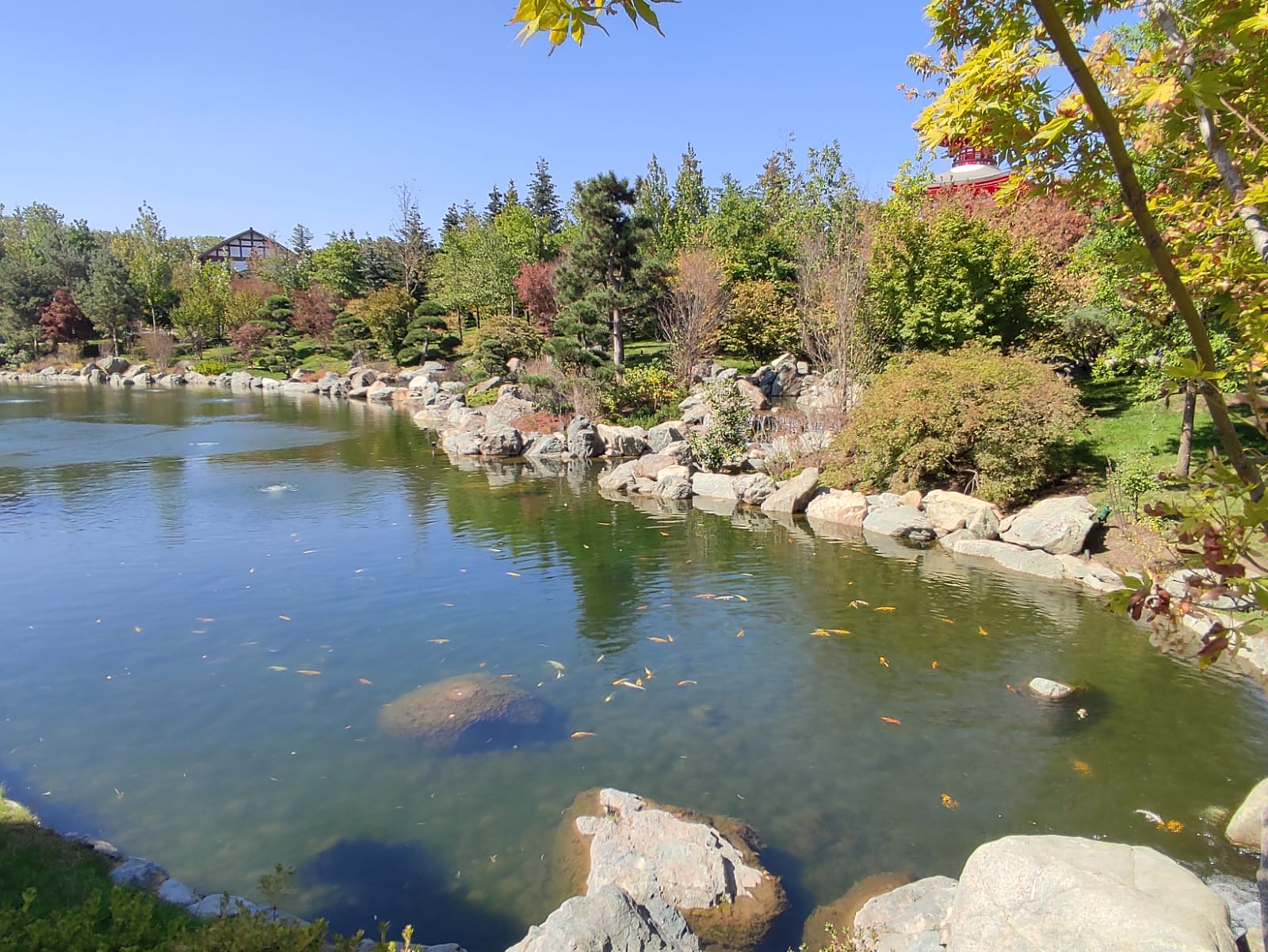 Фотографии Александра Ралота Фотографии Александра Ралота