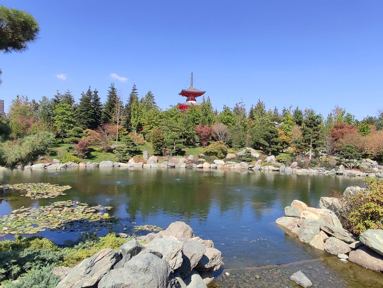 Фотографии Александра Ралота Фотографии Александра Ралота