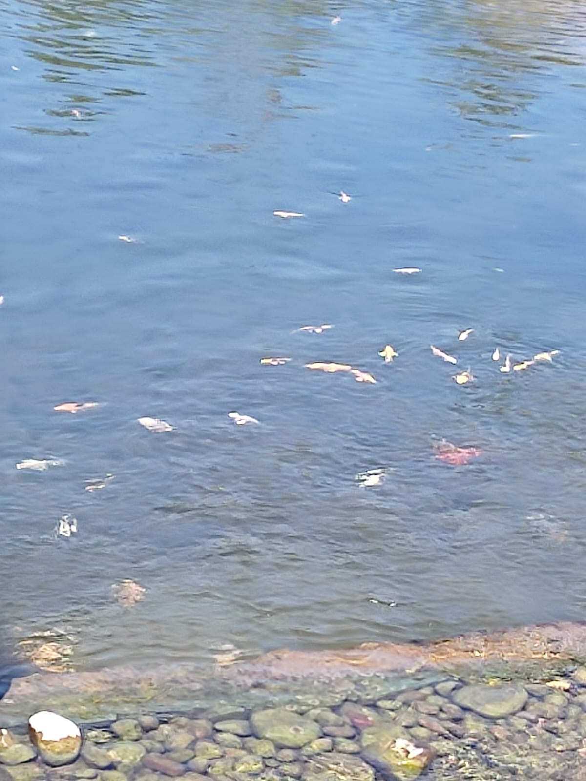 Фотографии Александра Ралота Фотографии Александра Ралота