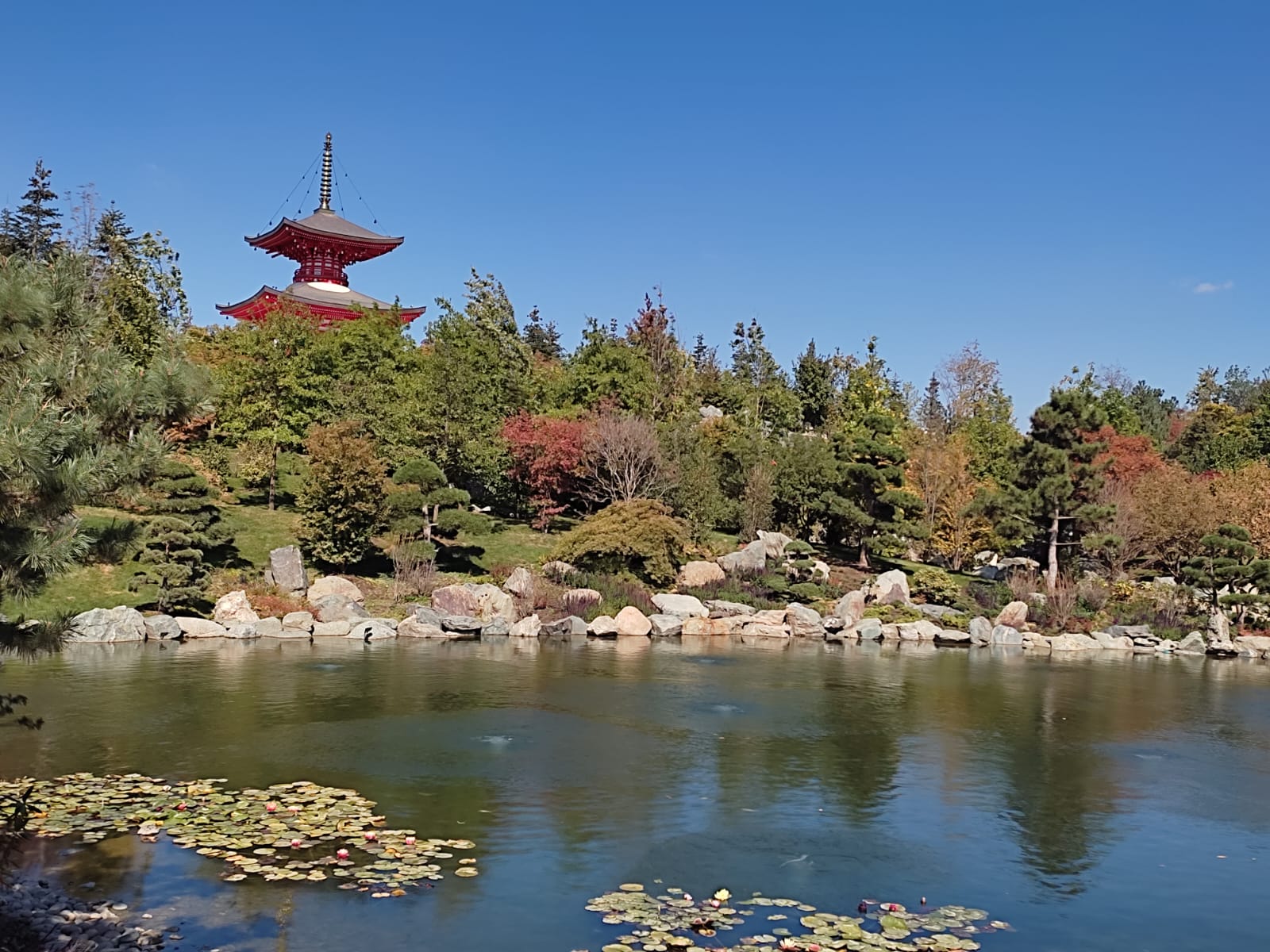 Фотографии Александра Ралота Фотографии Александра Ралота