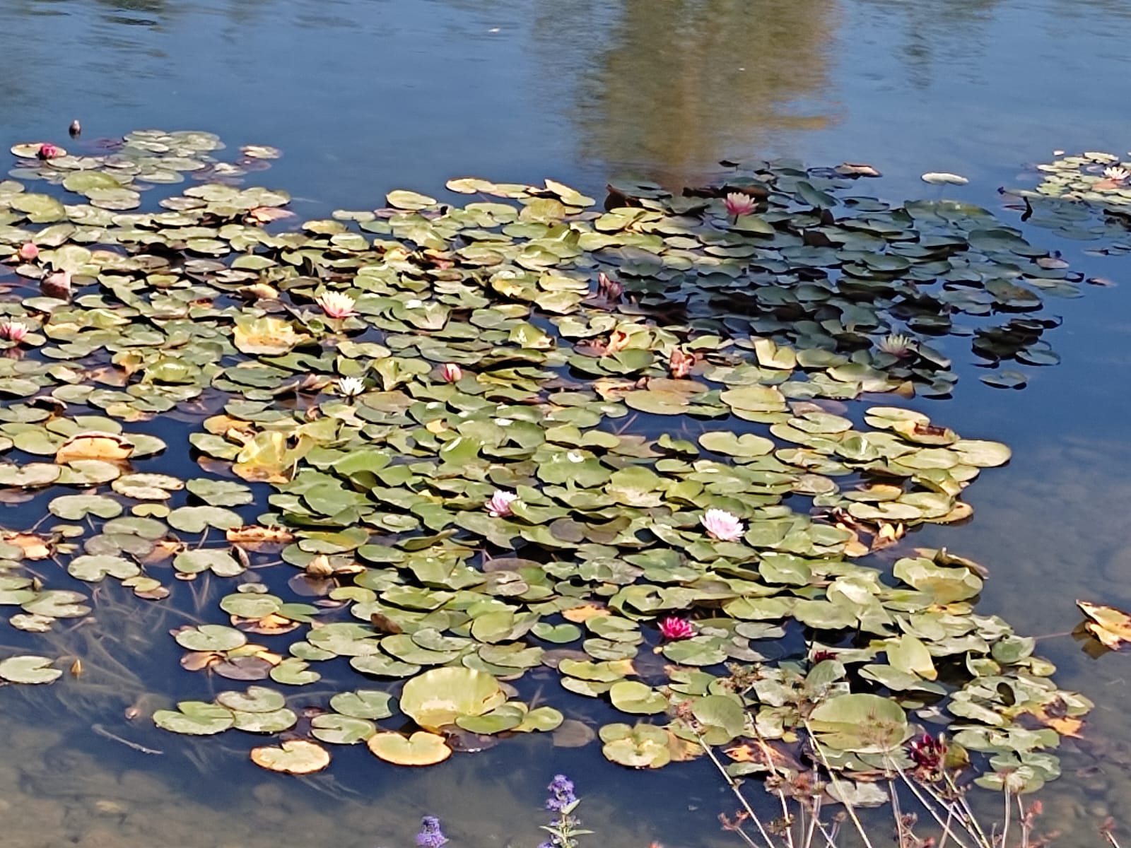 Фотографии Александра Ралота Фотографии Александра Ралота