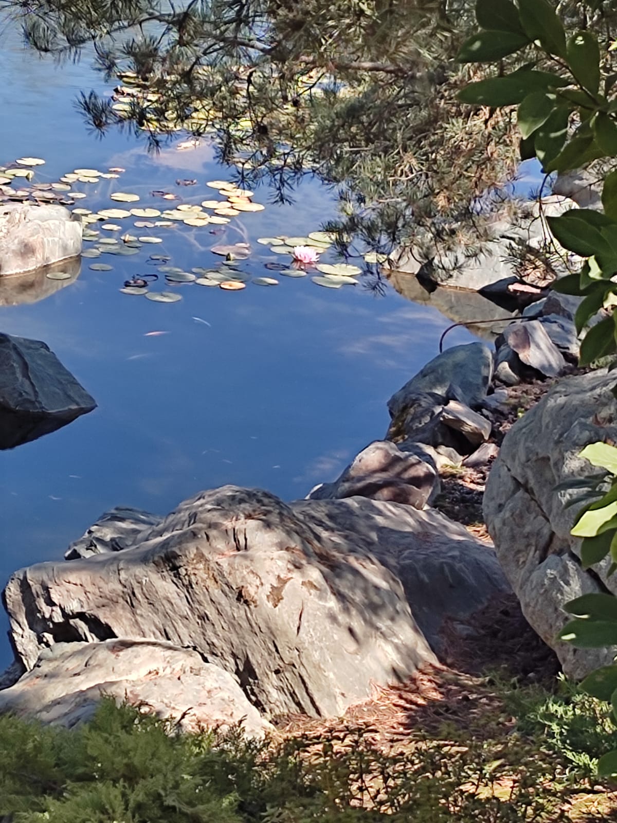 Фотографии Александра Ралота Фотографии Александра Ралота