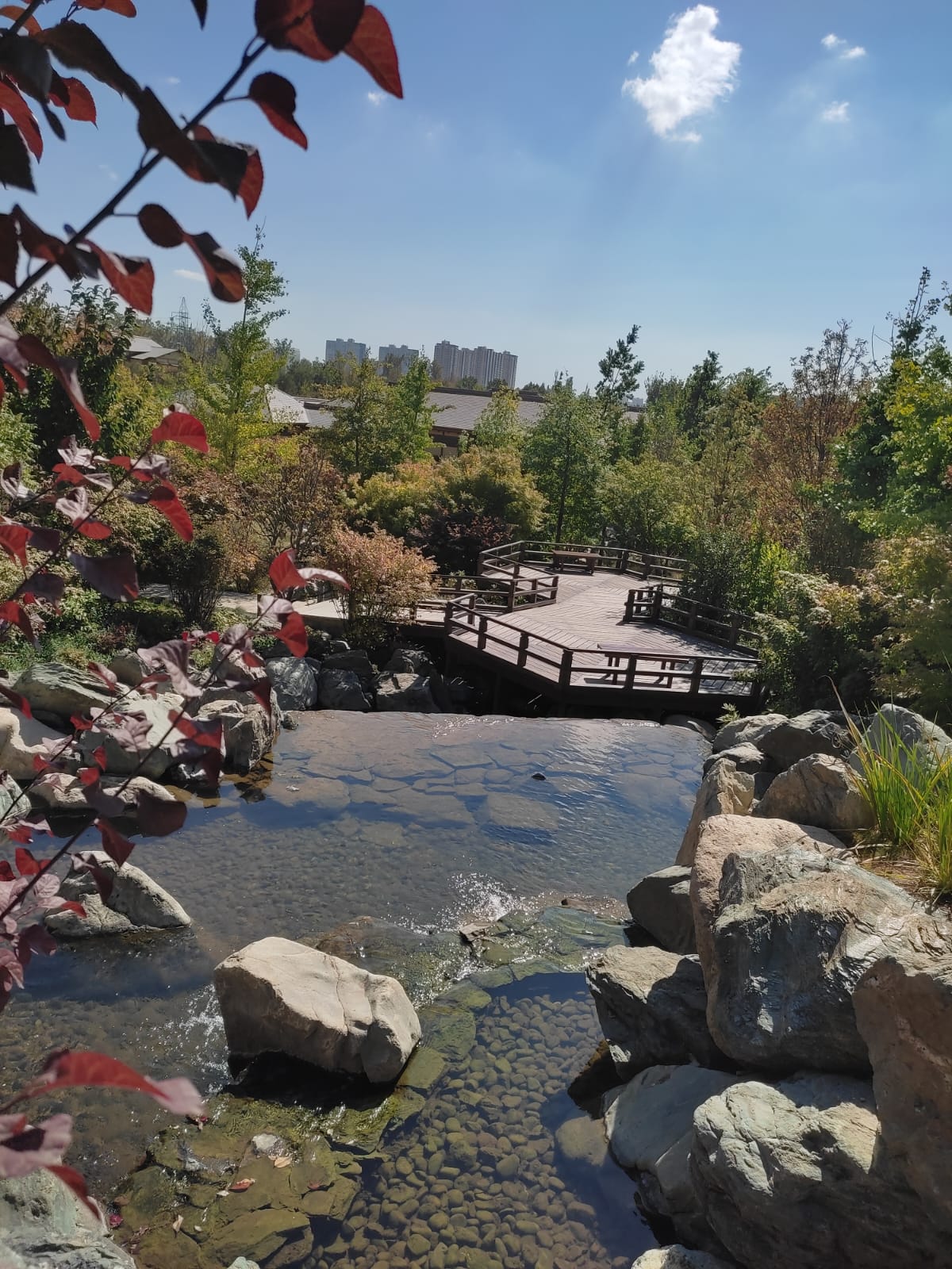 Фотографии Александра Ралота Фотографии Александра Ралота