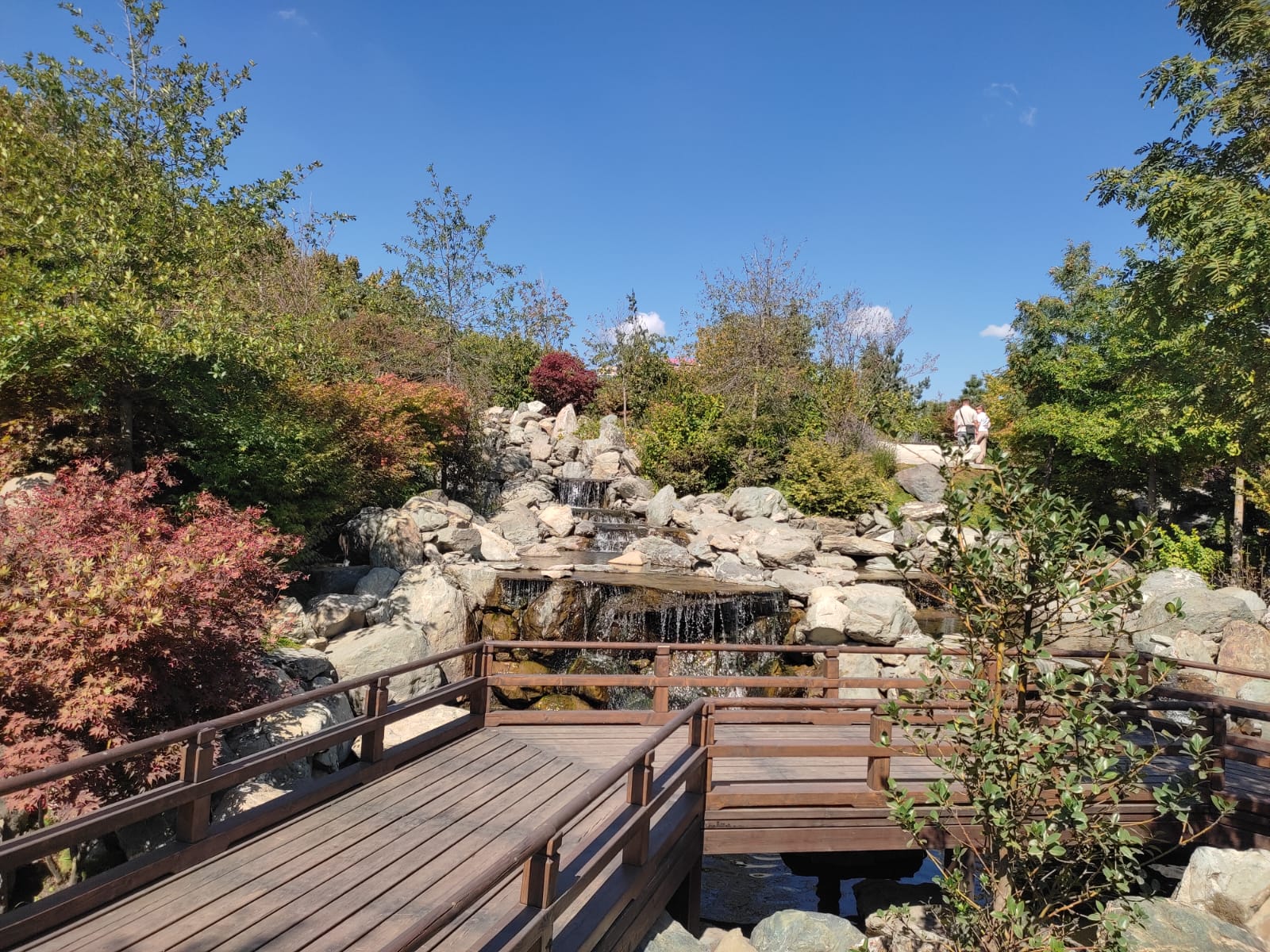 Фотографии Александра Ралота Фотографии Александра Ралота