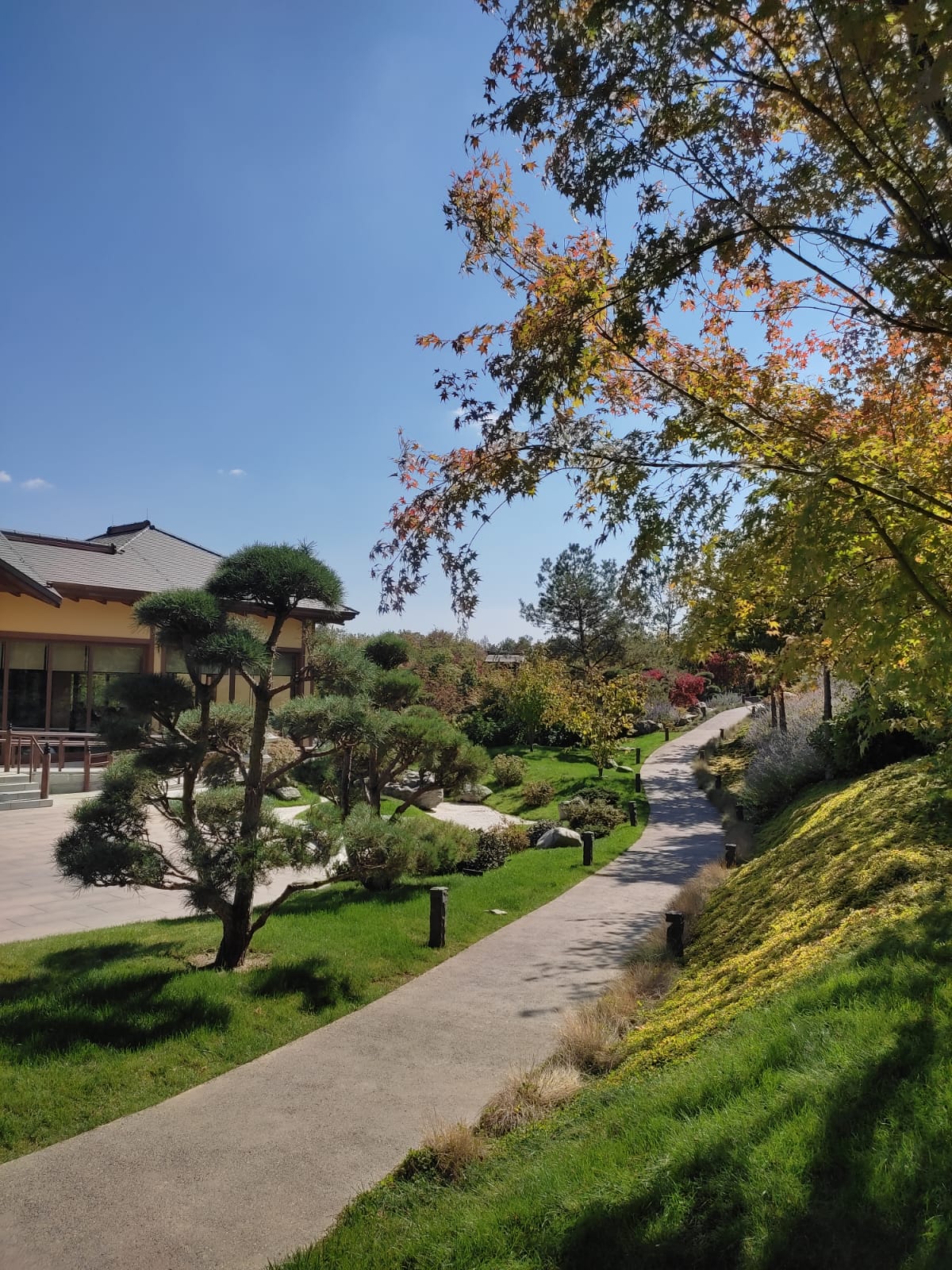 Фотографии Александра Ралота Фотографии Александра Ралота