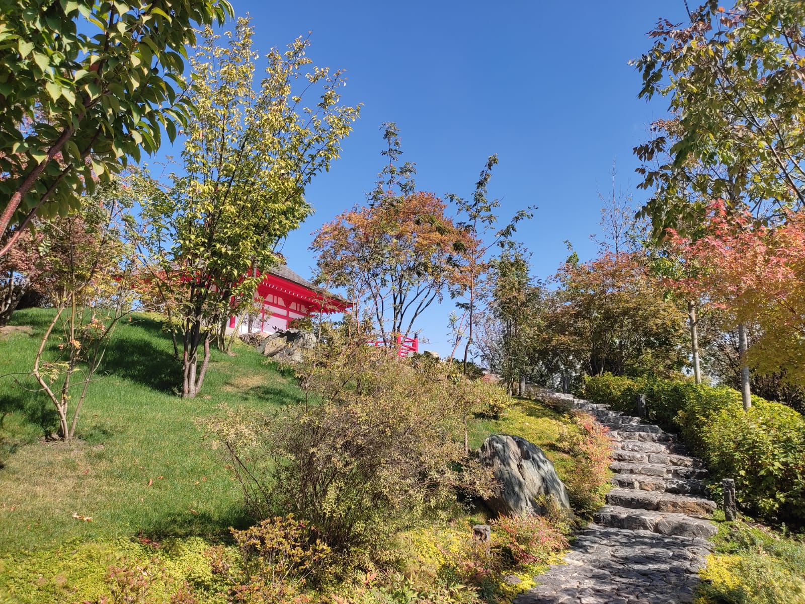 Фотографии Александра Ралота Фотографии Александра Ралота