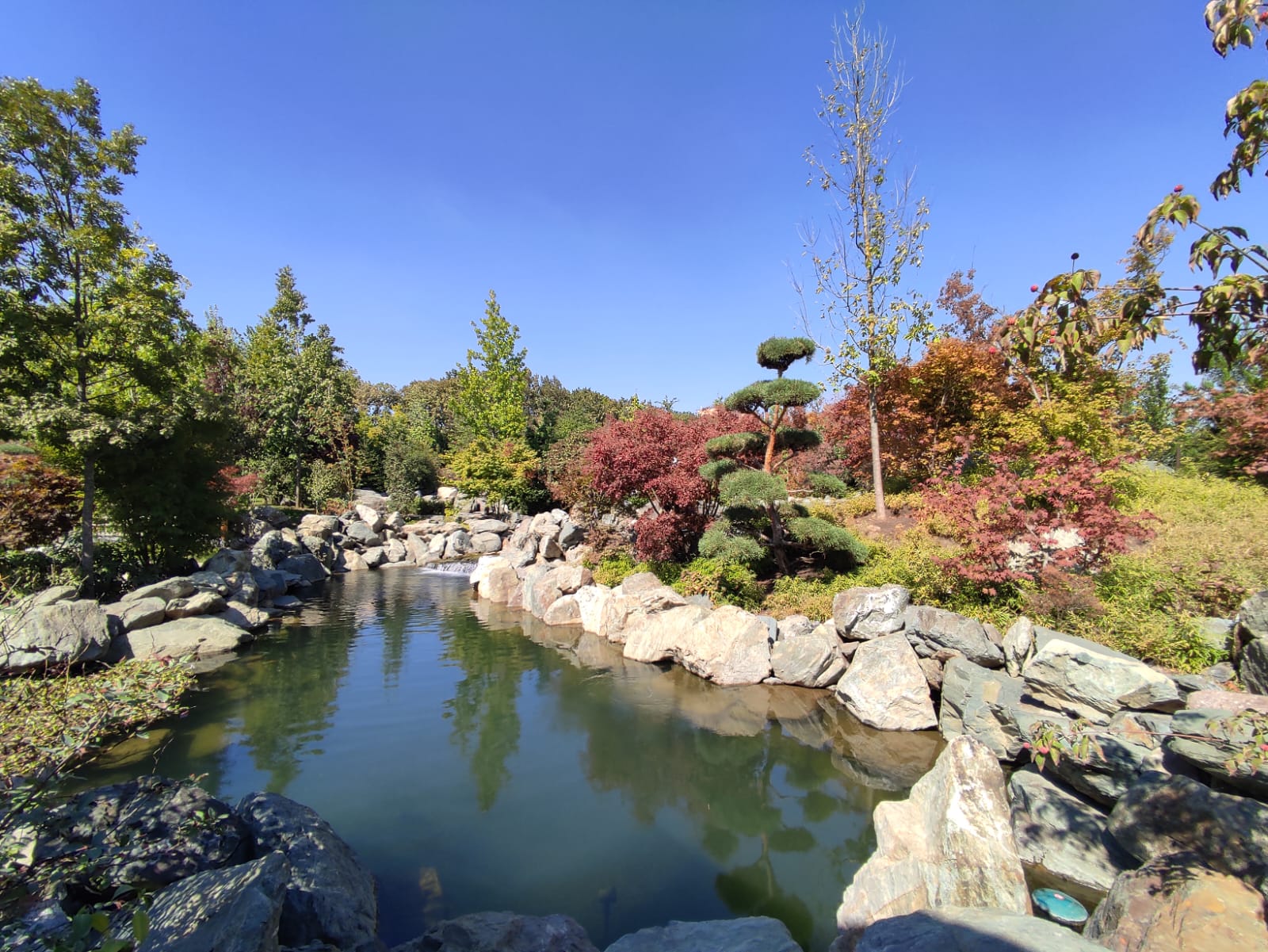 Фотографии Александра Ралота Фотографии Александра Ралота