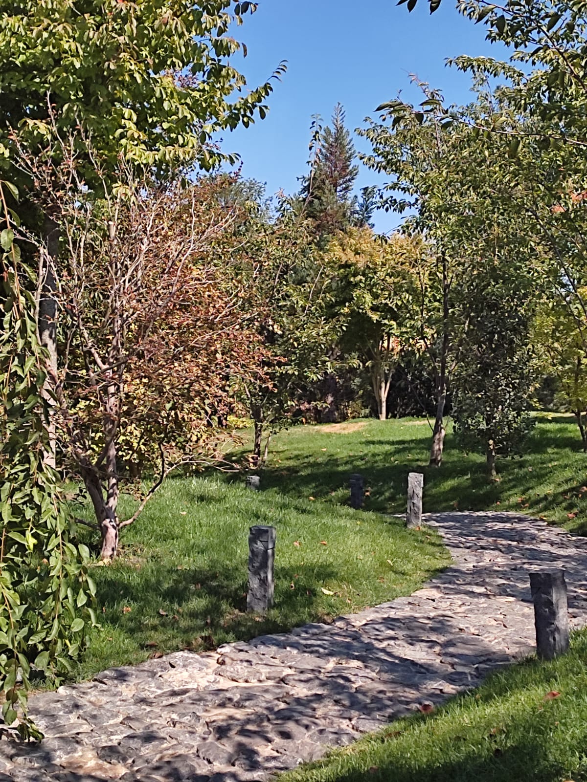 Фотографии Александра Ралота Фотографии Александра Ралота