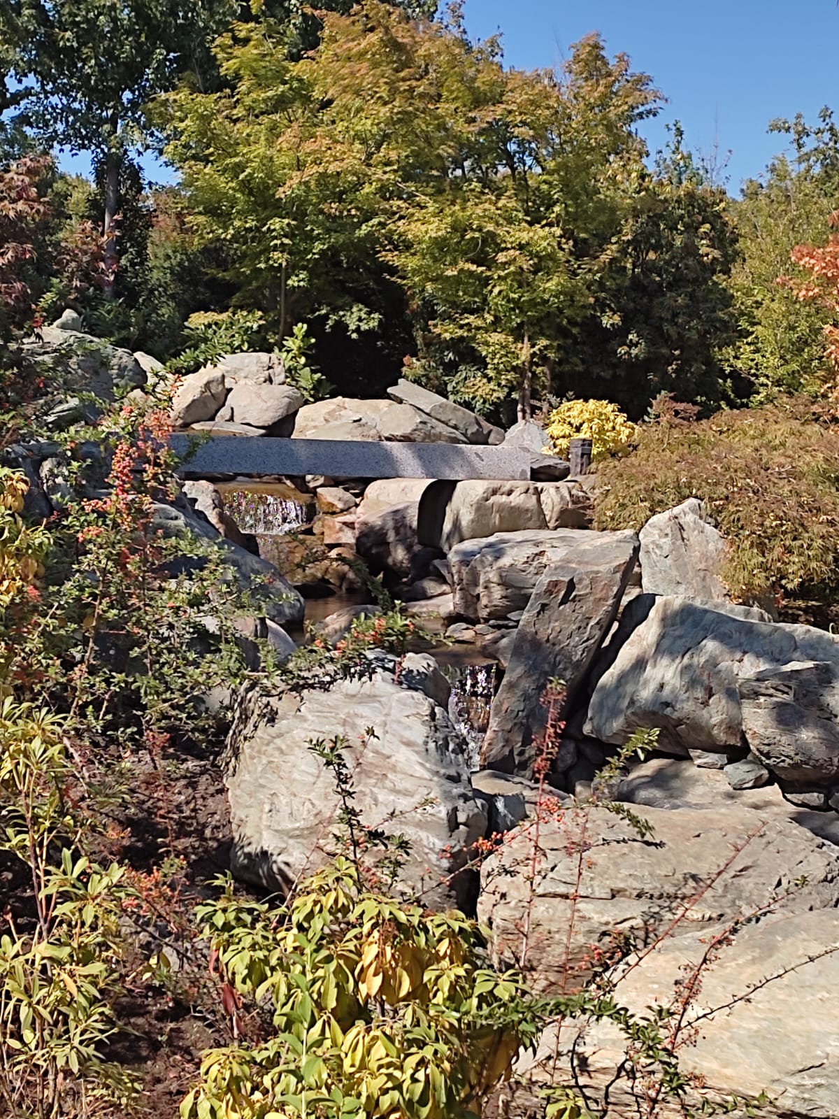 Фотографии Александра Ралота Фотографии Александра Ралота