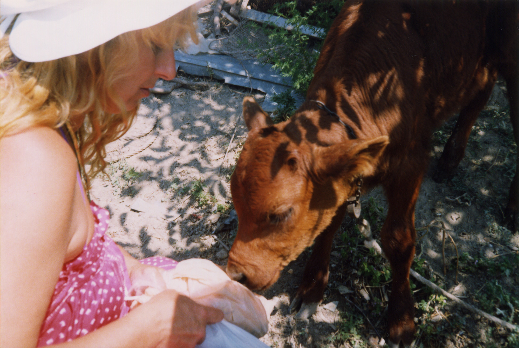 «Белгород-Днестровский» Денис Семенов (Учин) «Белгород-Днестровский» Денис Семенов (Учин)