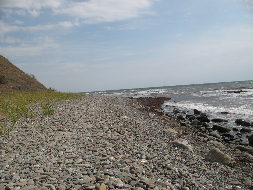 «Сентябрьский берег» Денис Семенов (Учин) «Сентябрьский берег» Денис Семенов (Учин)