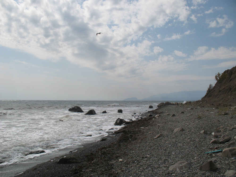 «Сентябрьский берег» Денис Семенов (Учин) «Сентябрьский берег» Денис Семенов (Учин)