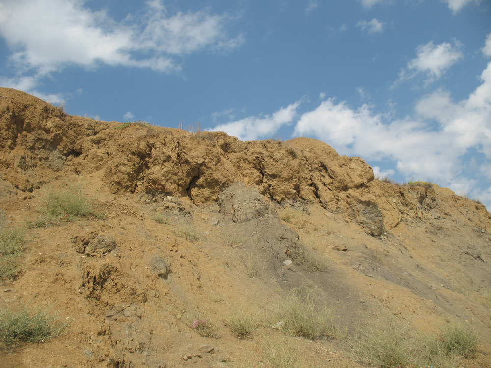 «Сентябрьский берег» Денис Семенов (Учин) «Сентябрьский берег» Денис Семенов (Учин)