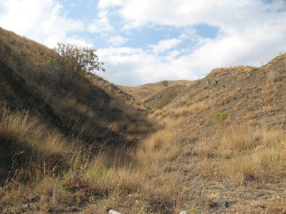«Сентябрьский берег» Денис Семенов (Учин) «Сентябрьский берег» Денис Семенов (Учин)
