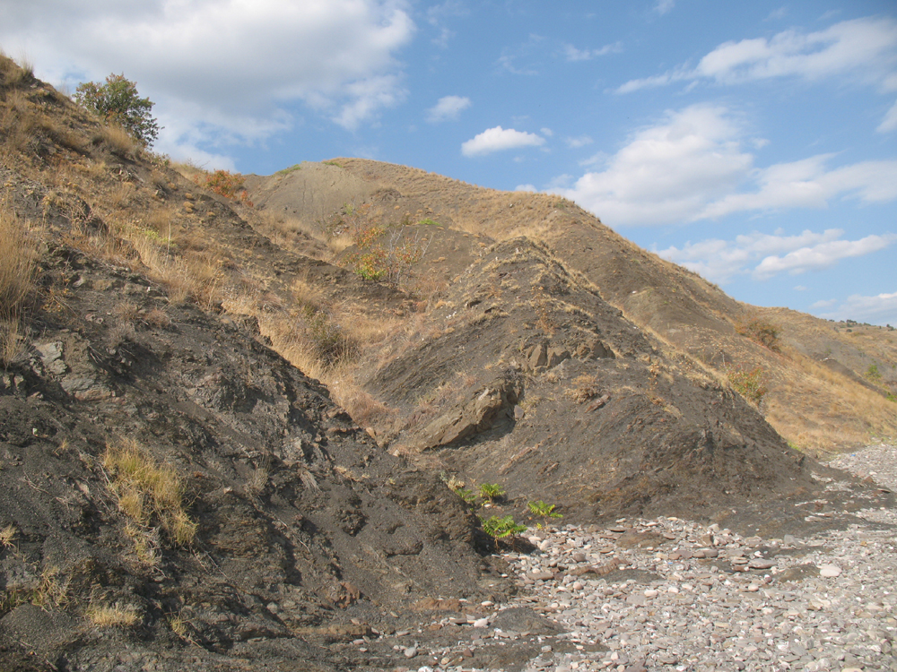«Сентябрьский берег» Денис Семенов (Учин) «Сентябрьский берег» Денис Семенов (Учин)