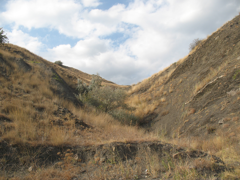 «Сентябрьский берег» Денис Семенов (Учин) «Сентябрьский берег» Денис Семенов (Учин)