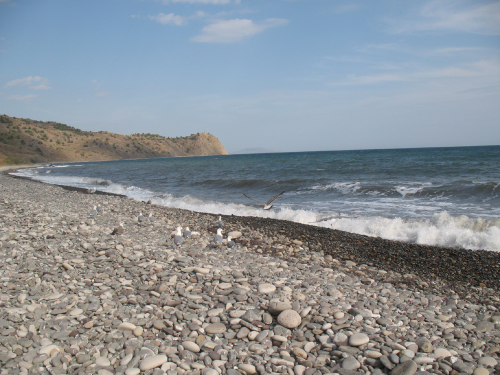 «Сентябрьский берег» Денис Семенов (Учин) «Сентябрьский берег» Денис Семенов (Учин)