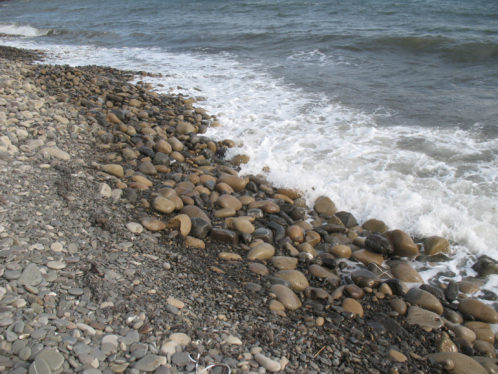 «Сентябрьский берег» Денис Семенов (Учин) «Сентябрьский берег» Денис Семенов (Учин)