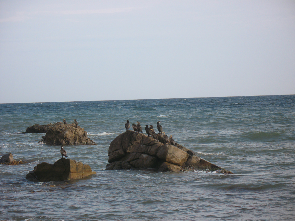 «Сентябрьский берег» Денис Семенов (Учин) «Сентябрьский берег» Денис Семенов (Учин)