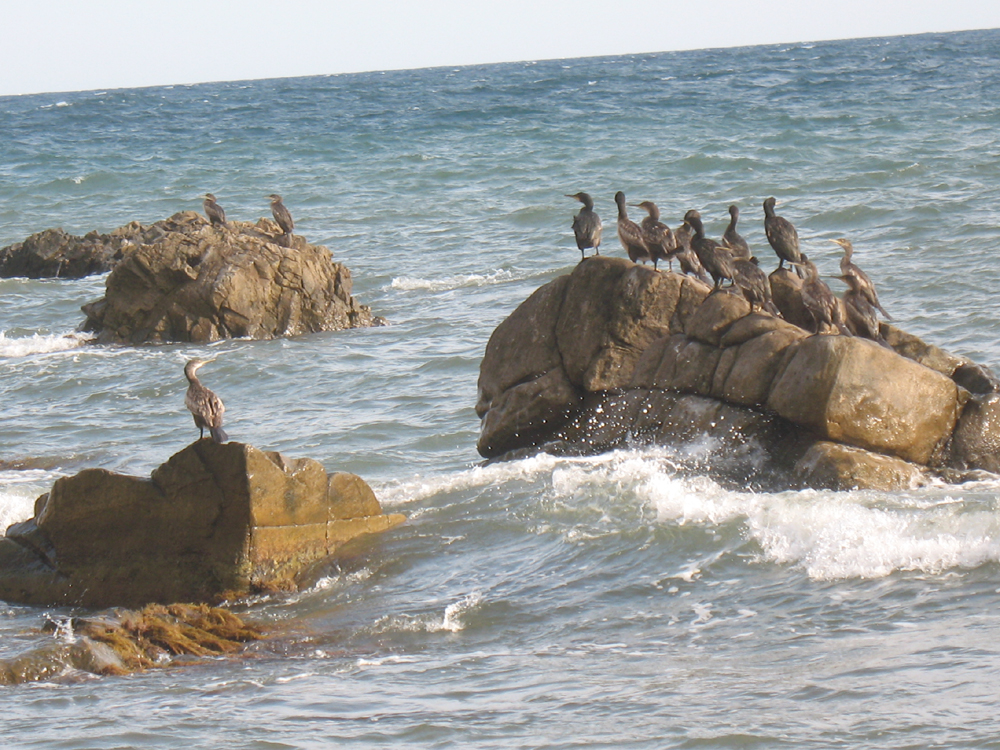 «Сентябрьский берег» Денис Семенов (Учин) «Сентябрьский берег» Денис Семенов (Учин)