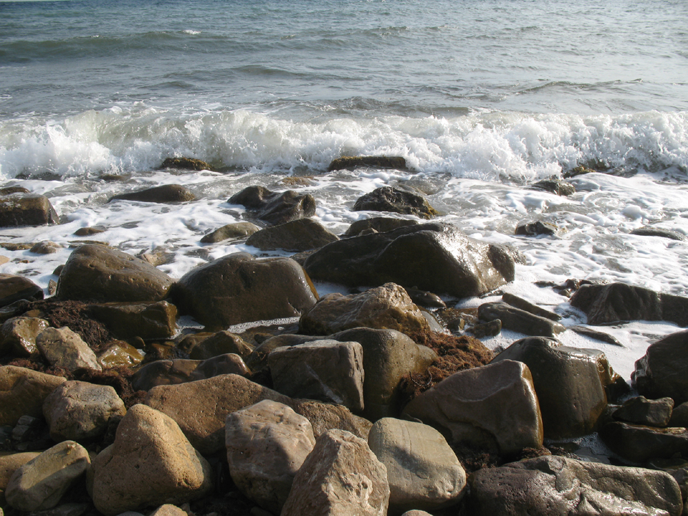 «Сентябрьский берег» Денис Семенов (Учин) «Сентябрьский берег» Денис Семенов (Учин)