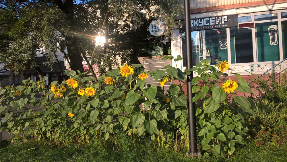 Фото Сергея Филиппова Фото Сергея Филиппова