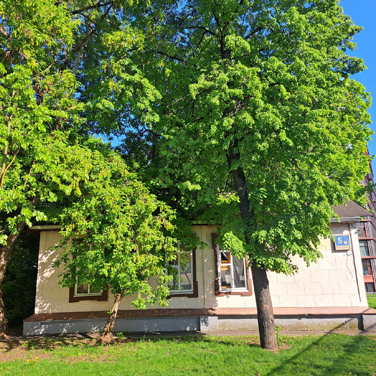 Фото Сергея Филиппова Фото Сергея Филиппова