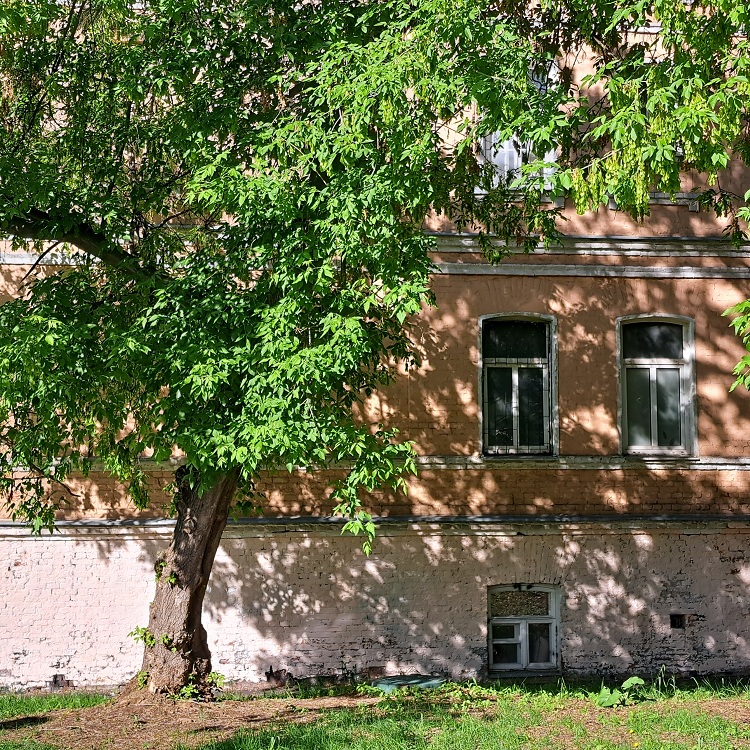 Фото Сергея Филиппова Фото Сергея Филиппова