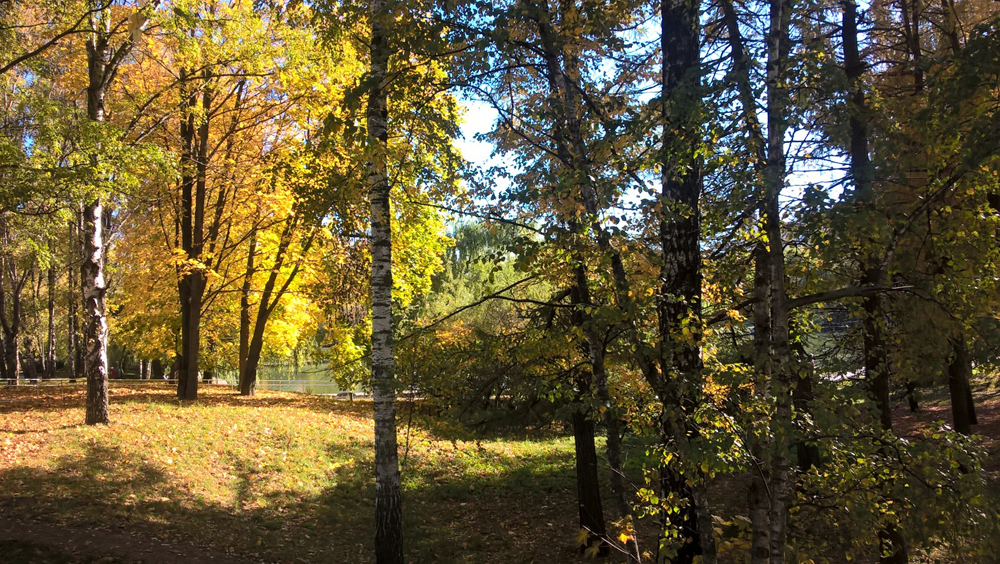 Фото Сергея Филиппова Фото Сергея Филиппова