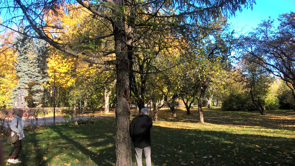 Фото Сергея Филиппова Фото Сергея Филиппова